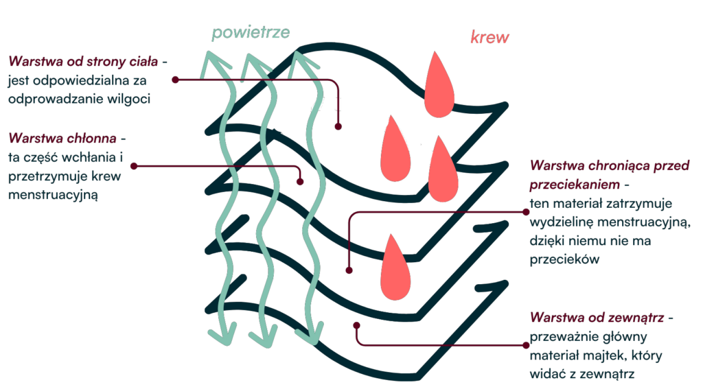 jak działają majtki menstruacyjne schemat