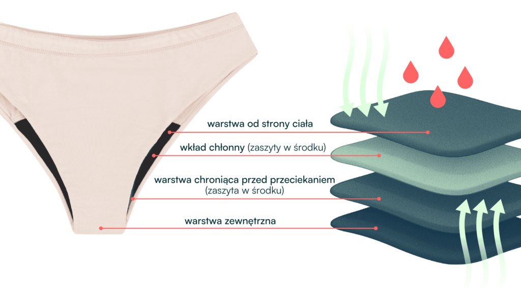 jak działają majtki menstruacyjne schemat
