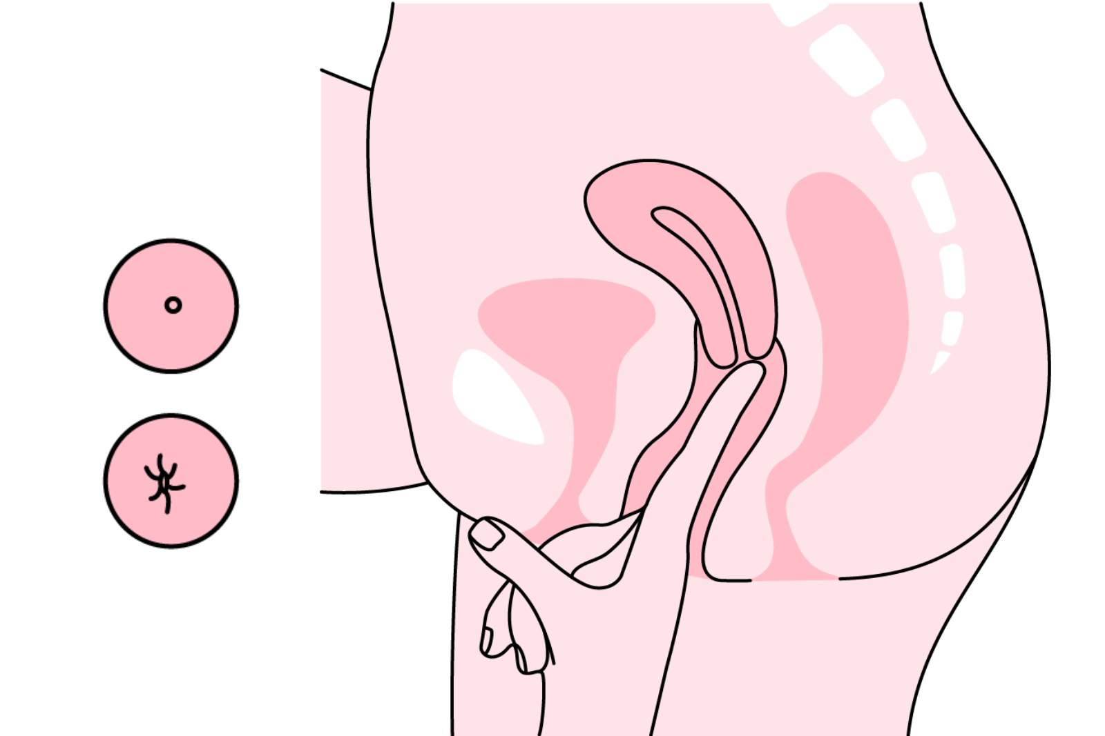 jak zmierzyć wysokość szyjki macicy