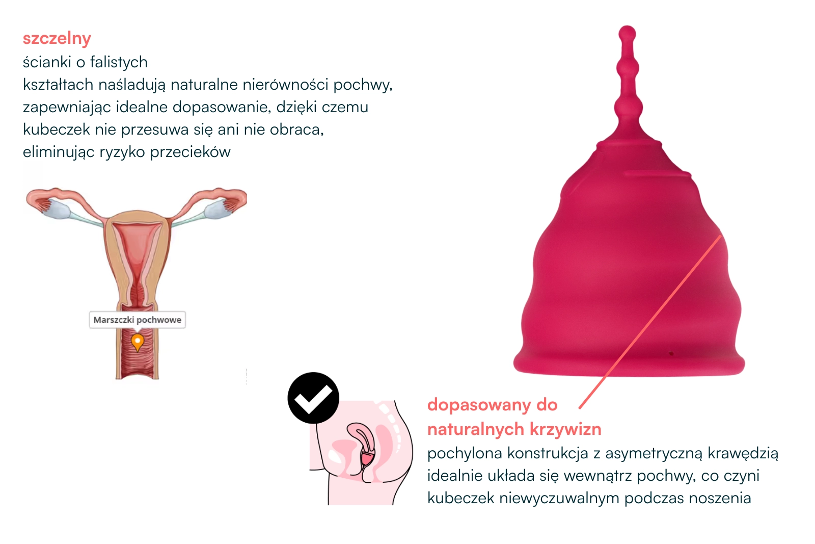 najlepszy kubeczek menstruacyjny dla początkujących