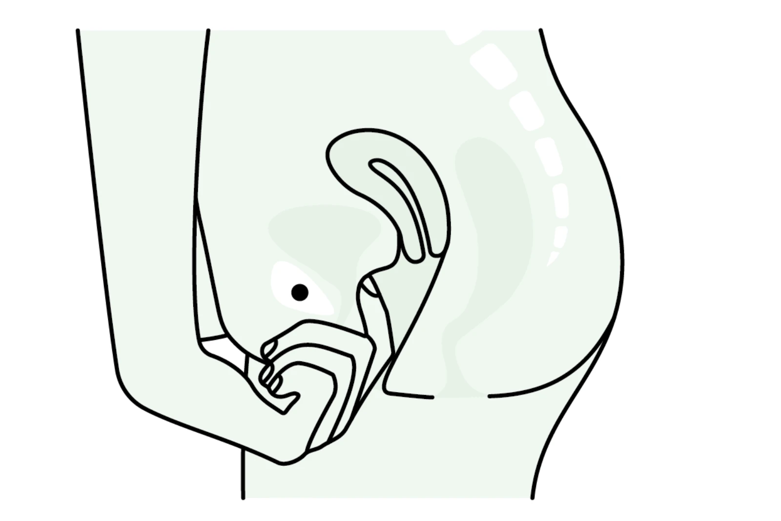 jak znaleźć kość łonową