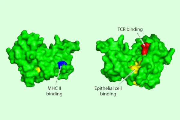 tss, a kubeczki menstruacyjne i dyski menstruacyjne (1)
