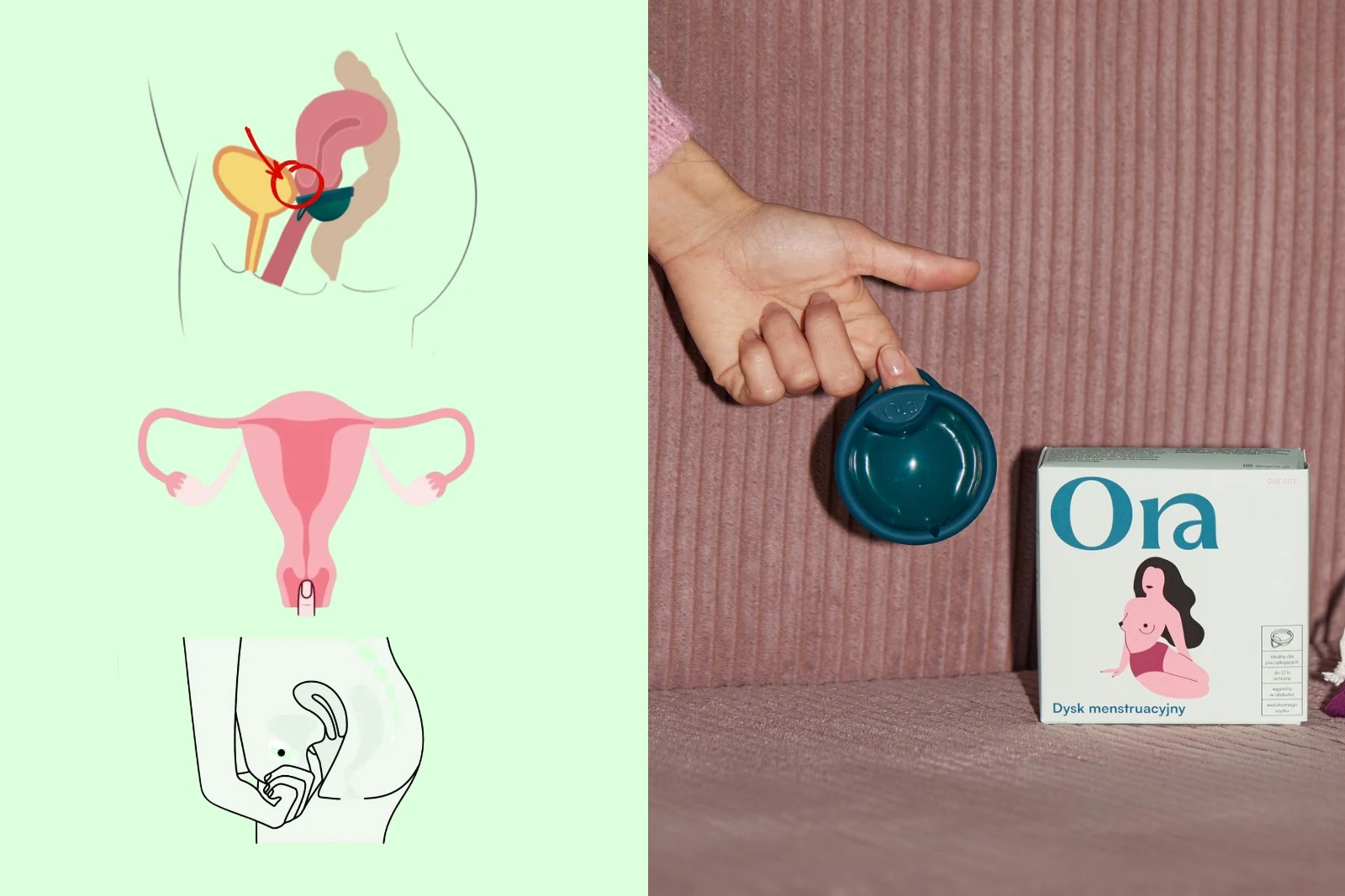 czy dysk menstruacyjny będzie pasował